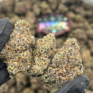 BUBBLEGUM GUMBO