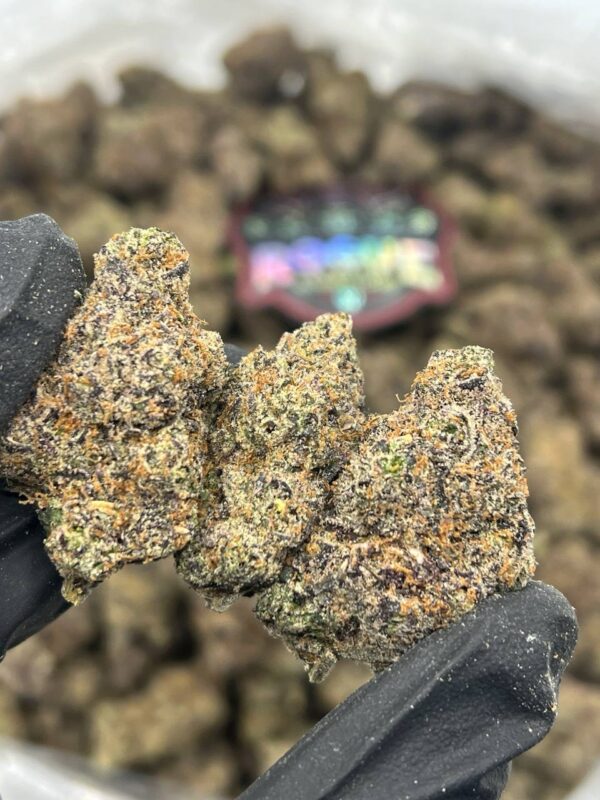 BUBBLEGUM GUMBO