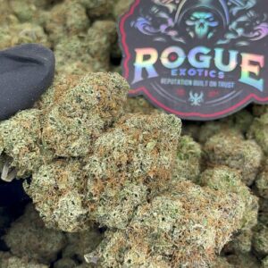 ORANGE CREAM GELATO