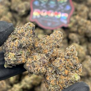 PURP CANDY GELATO