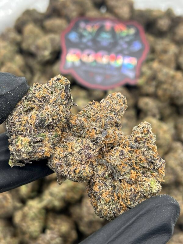 PURP CANDY GELATO