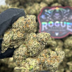 RASPBERRY GOGURTZ - LICENSED