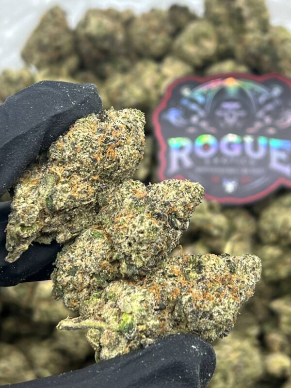 RASPBERRY GOGURTZ - LICENSED