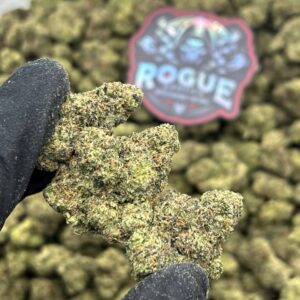 FRUIT ROLL UPZ - LICENSED - BackpackBoys Official