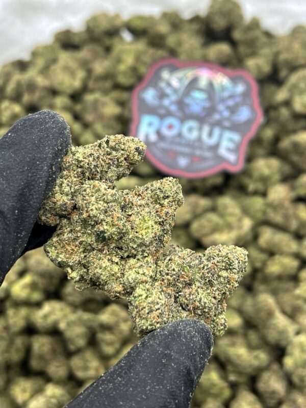 FRUIT ROLL UPZ - LICENSED - BackpackBoys Official
