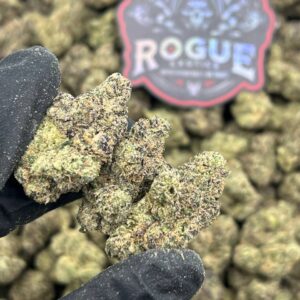 BLACK SUGARBERRIEZ - LICENSED - BackpackBoys Official