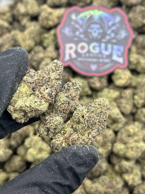 BLACK SUGARBERRIEZ - LICENSED - BackpackBoys Official