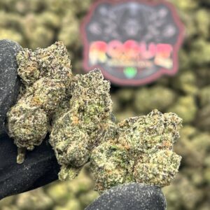 NITRO RUNTZ x CANDYLAND - LICENSED – BackpackBoys Official