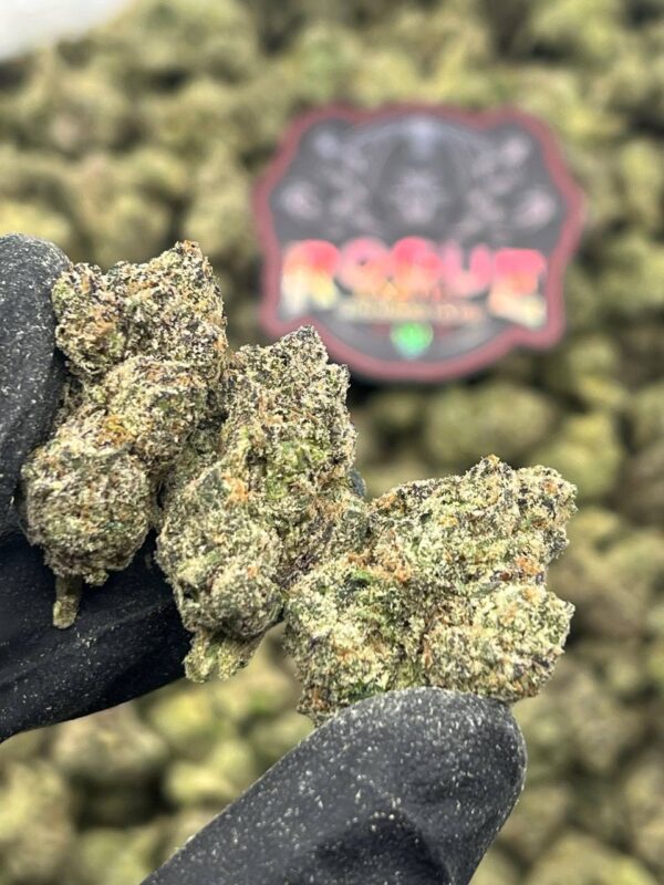 NITRO RUNTZ x CANDYLAND - LICENSED – BackpackBoys Official