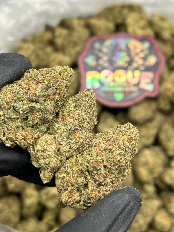 WHITE CANDY RUNTZ