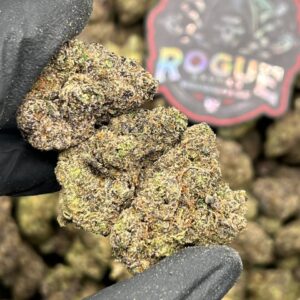BUBBLEGUM GUMBO