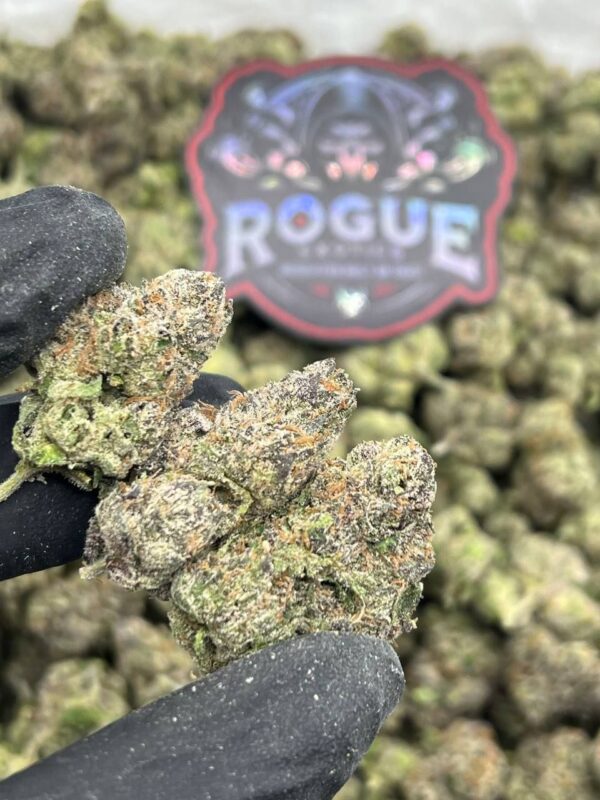 NORTHERN LIGHTS