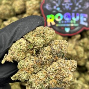 RAINBOW RUNTZ - LICENSED – Backpack Boyz Official