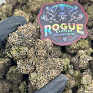 BLUE CHERRY RUNTZ