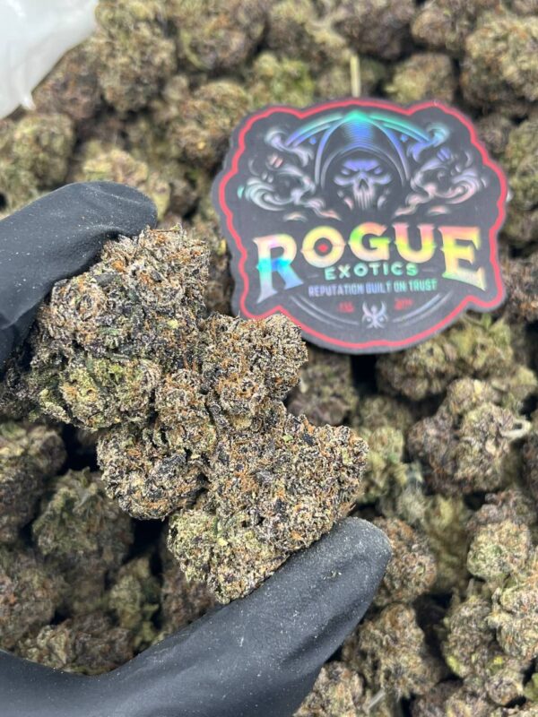 BLUE CHERRY RUNTZ