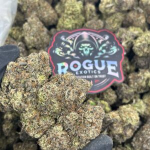 BLACK SUGARCUBE