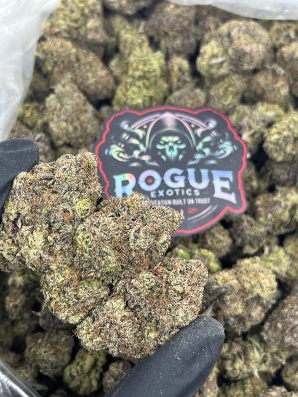 BLACK SUGARCUBE